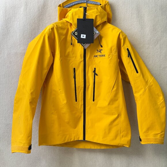 Arcteryx Beta Series Beta LT Hooded Hardshell Jacket, Size M - Picture 1 of 8